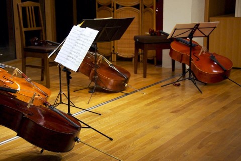 10269453_10100278771374478_5220085304198654639_n